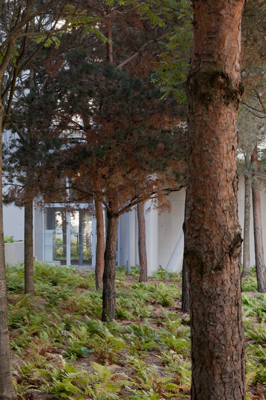 Immeuble de logements ZAC